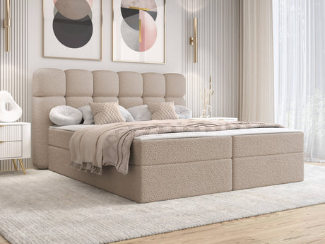 Continental lova 664012