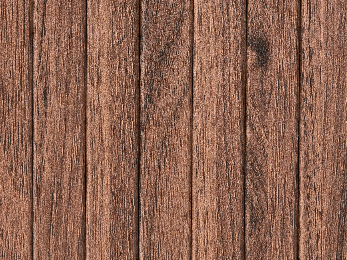 Lentyna 669780