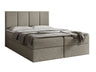 Continental lova 263501