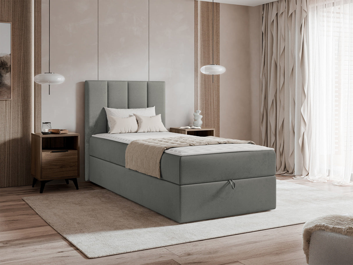 Continental lova 670213