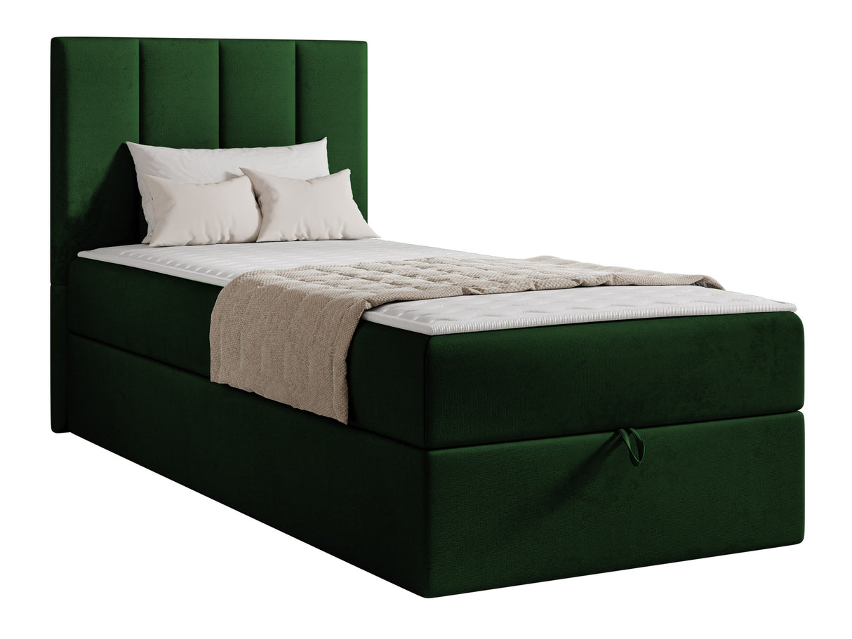 Continental lova 670213