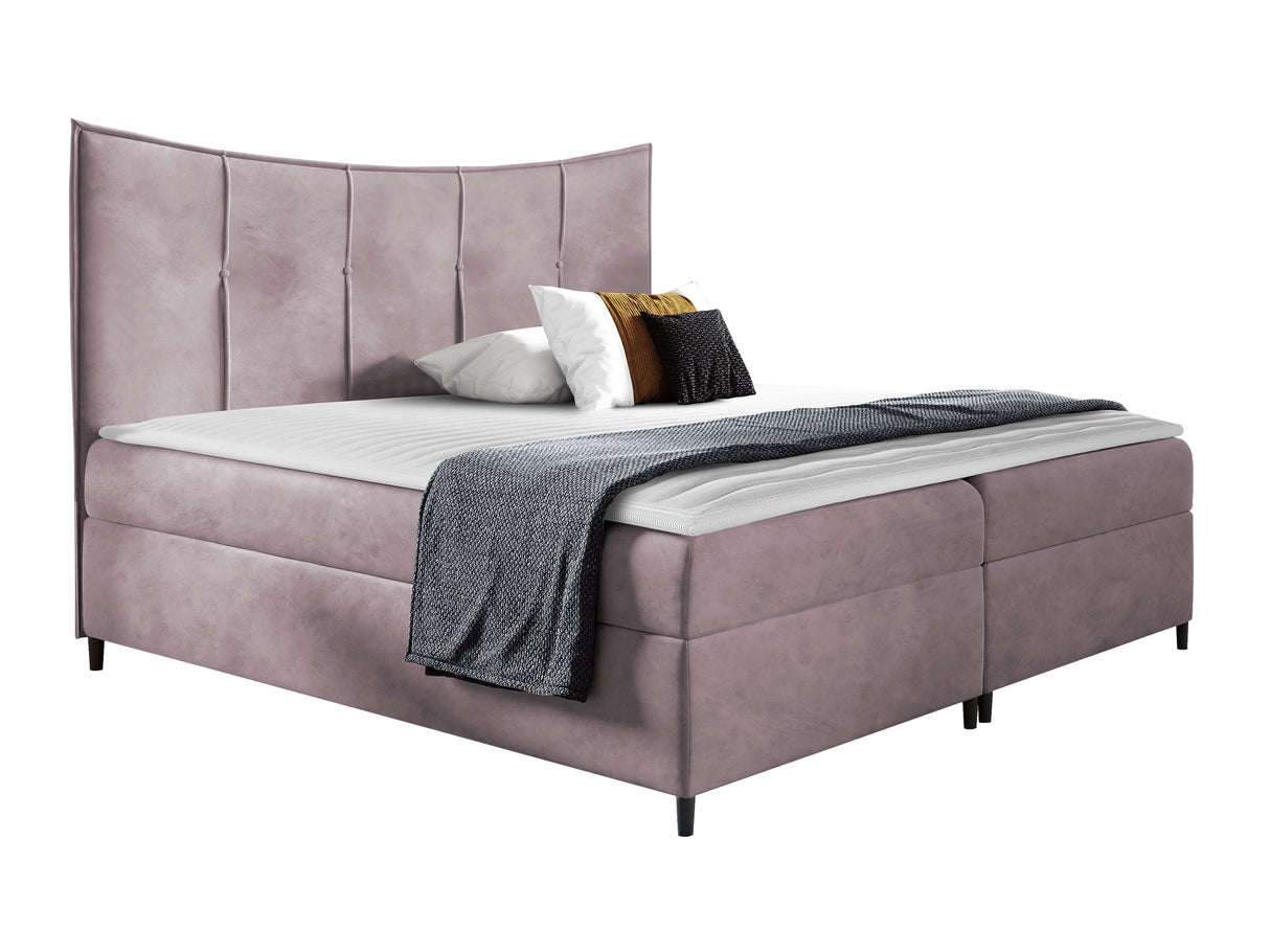 Continental lova 471831 4926320