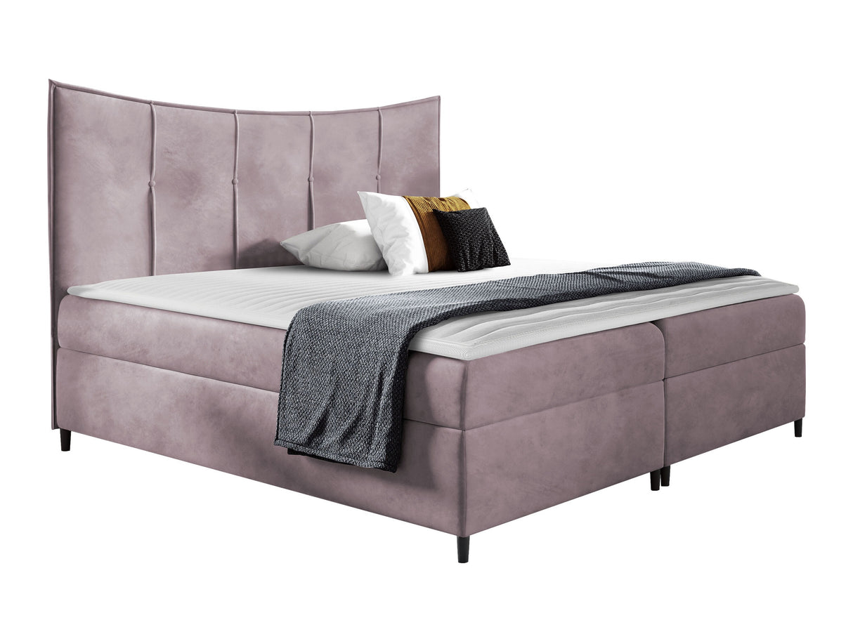 Continental lova 471831 4926328