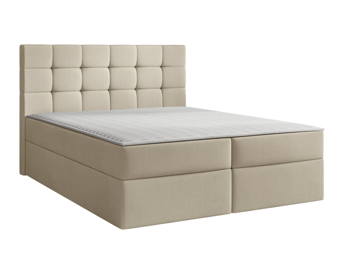 Continental lova 180649 5018389
