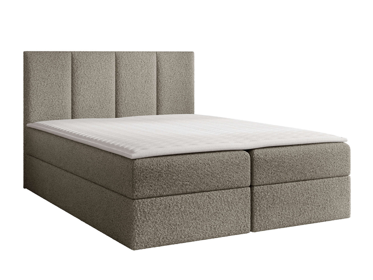 Continental lova 263501 5020828