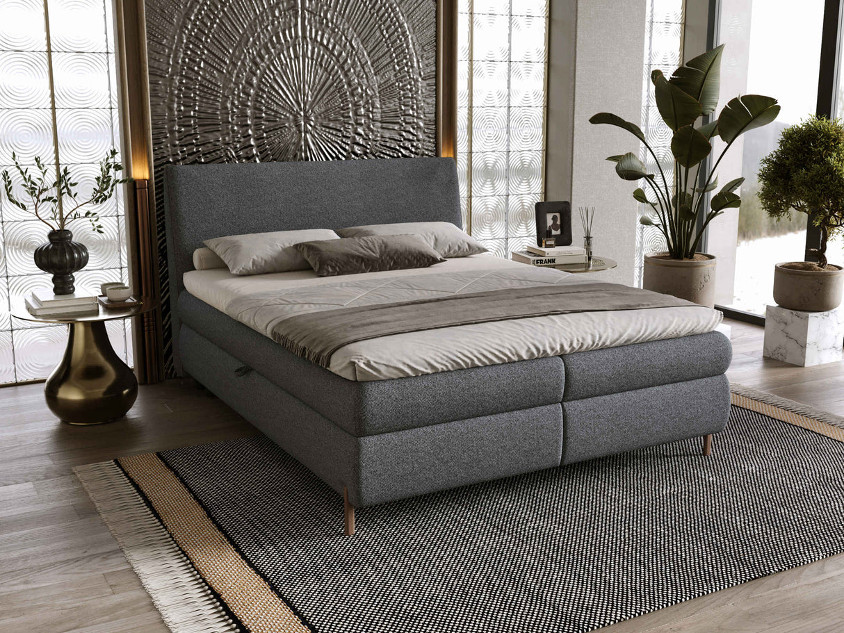 Continental lova 678827