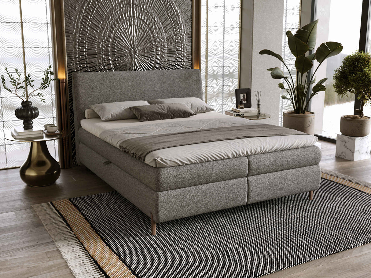 Continental lova 678827