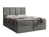 Continental lova 263501 5049567