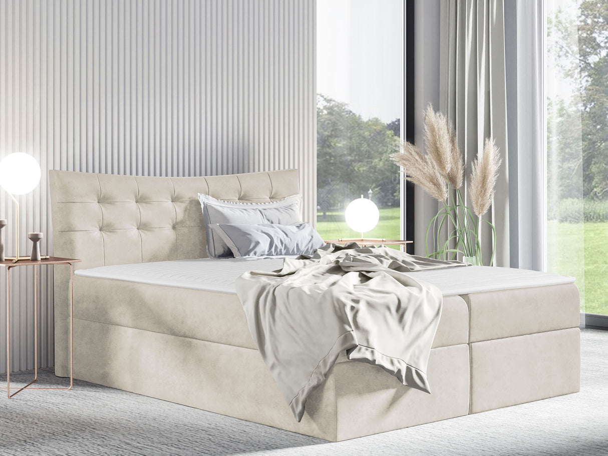 Continental lova 405659