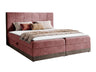 Continental lova 233823 5146489
