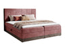 Continental lova 233823 5146507