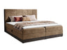 Continental lova 233823 5146579