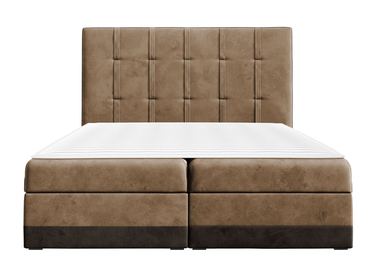 Continental lova 233823 5146581