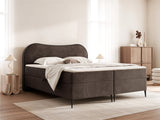 Continental lova 691159