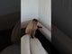 Sofa lova 628565