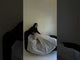 Sofa 511679 BITdRH3dOLY
