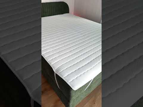 Continental lova 599033