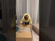 Sofa lova 583971 TkIEpACib4Y