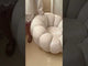 Fotelis 591124
