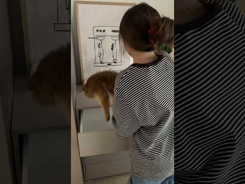 Komoda 563678 JYqMbZNhI64