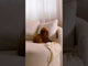 Fotelis 510261