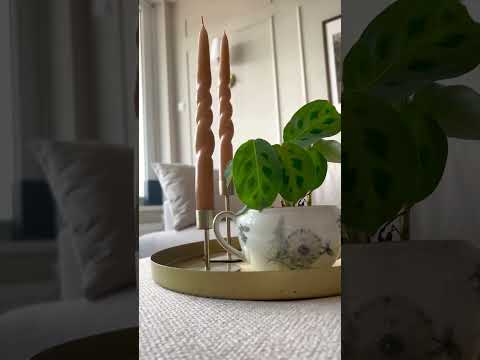 Pufas 407613 d82tVx22_AU