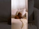 Fotelis 510261 bsS3tcKO0Ns